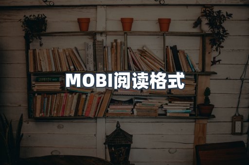 MOBI阅读格式